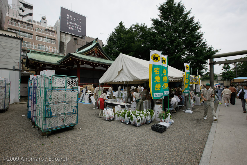 ほうづき市