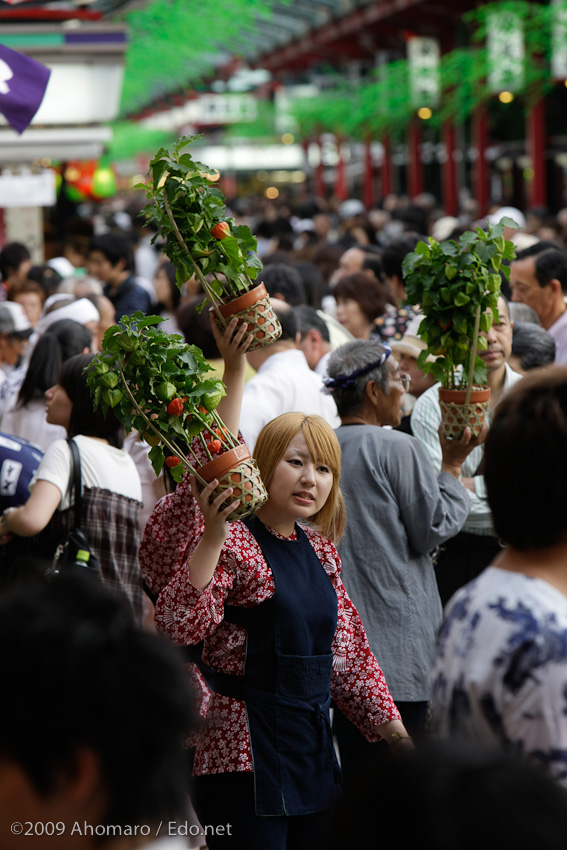 ほうづき市