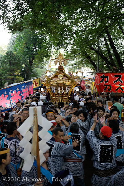 碑文谷八幡例大祭