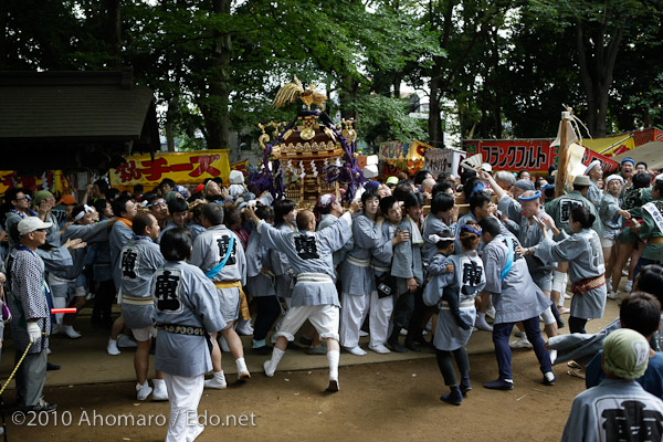 碑文谷八幡例大祭