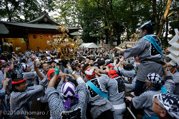 碑文谷八幡例大祭