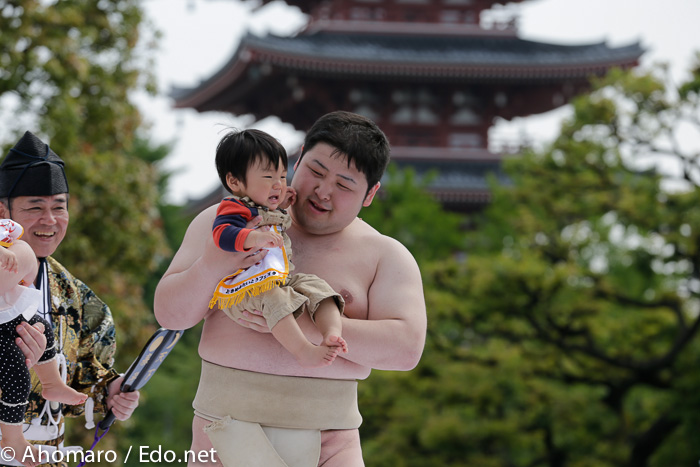 生子神社の泣き相撲