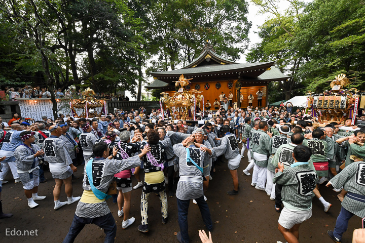 180916碑文谷八幡宮例大祭2018年9月16日（日）原町西町会渡御