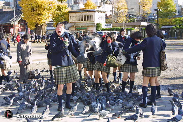 写真00