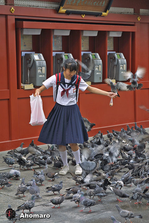 写真00