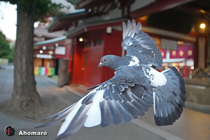 写真00