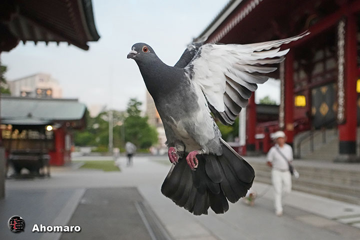 写真00