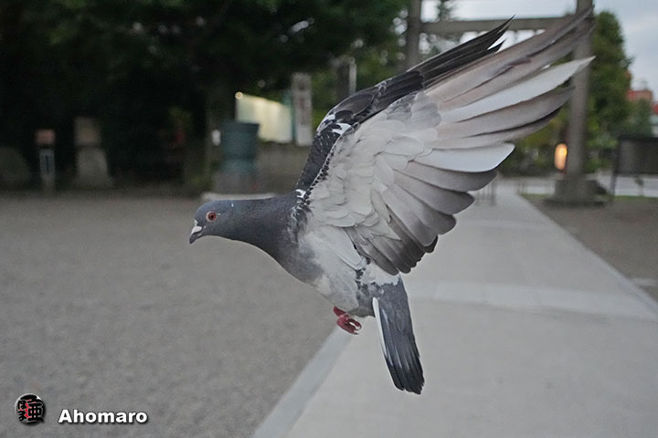 写真00
