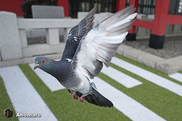 写真00
