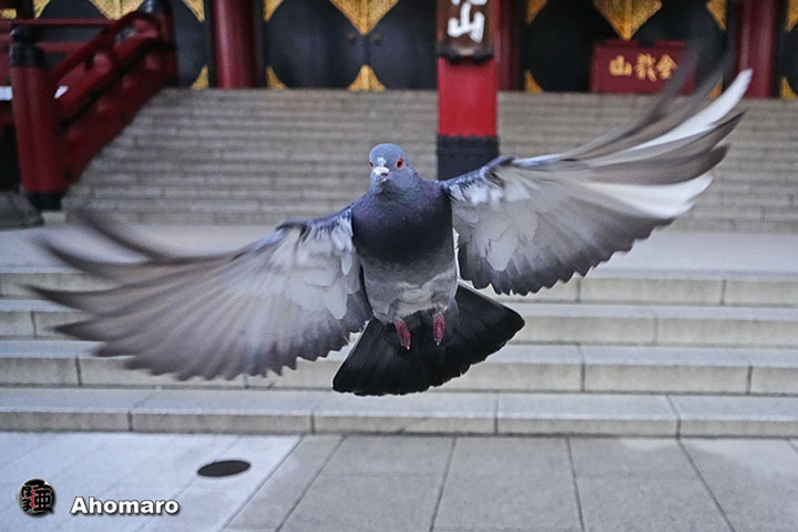 写真00
