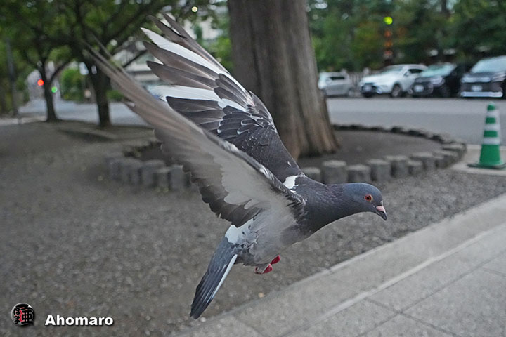 写真00