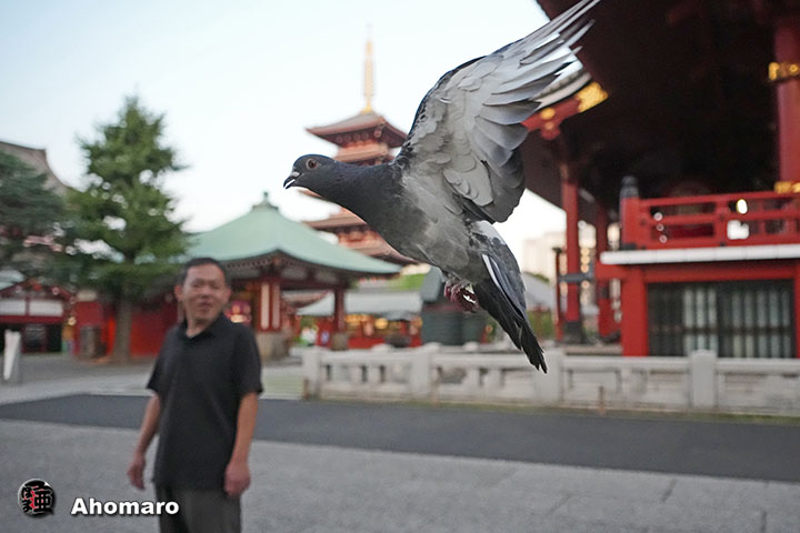 写真00