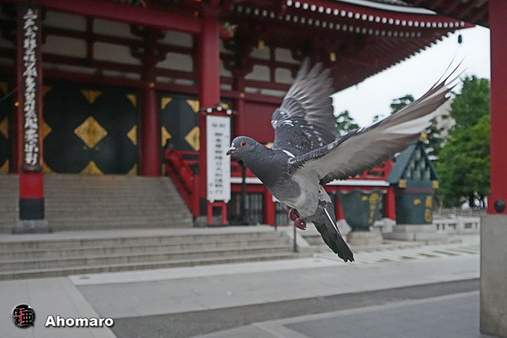 写真4