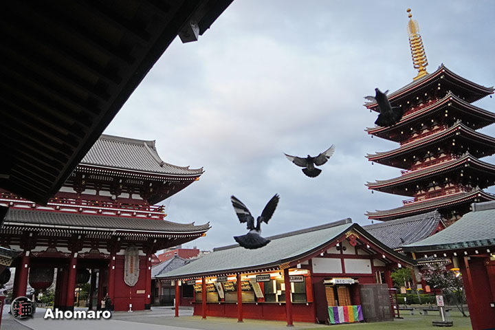 写真5