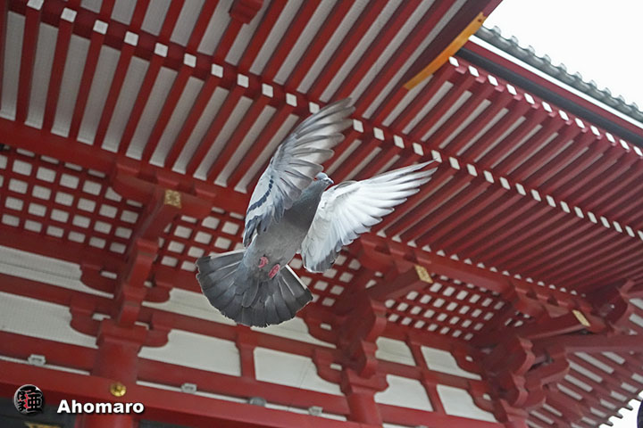 写真7
