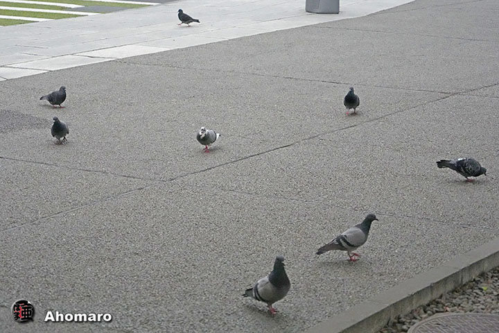 写真9