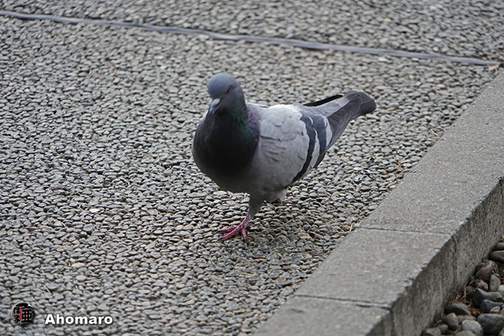 写真2