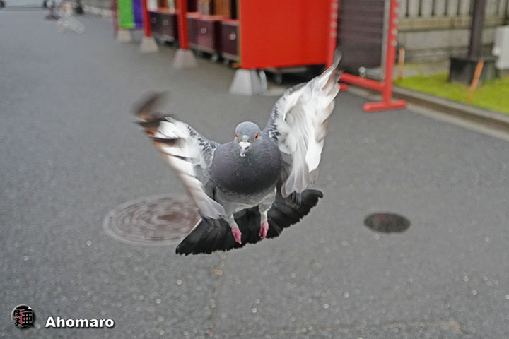 写真7