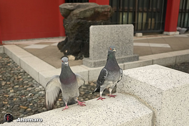 写真10