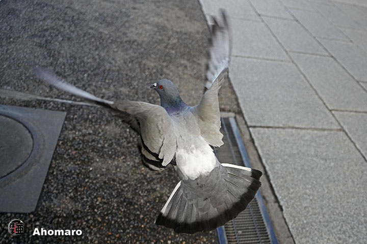 写真2