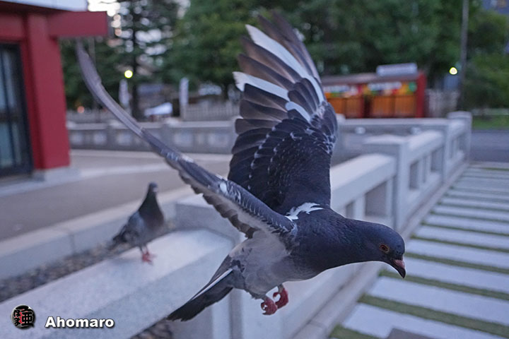 写真6