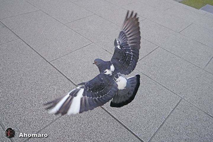 写真00